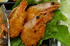 IMGP1093ebi.jpg